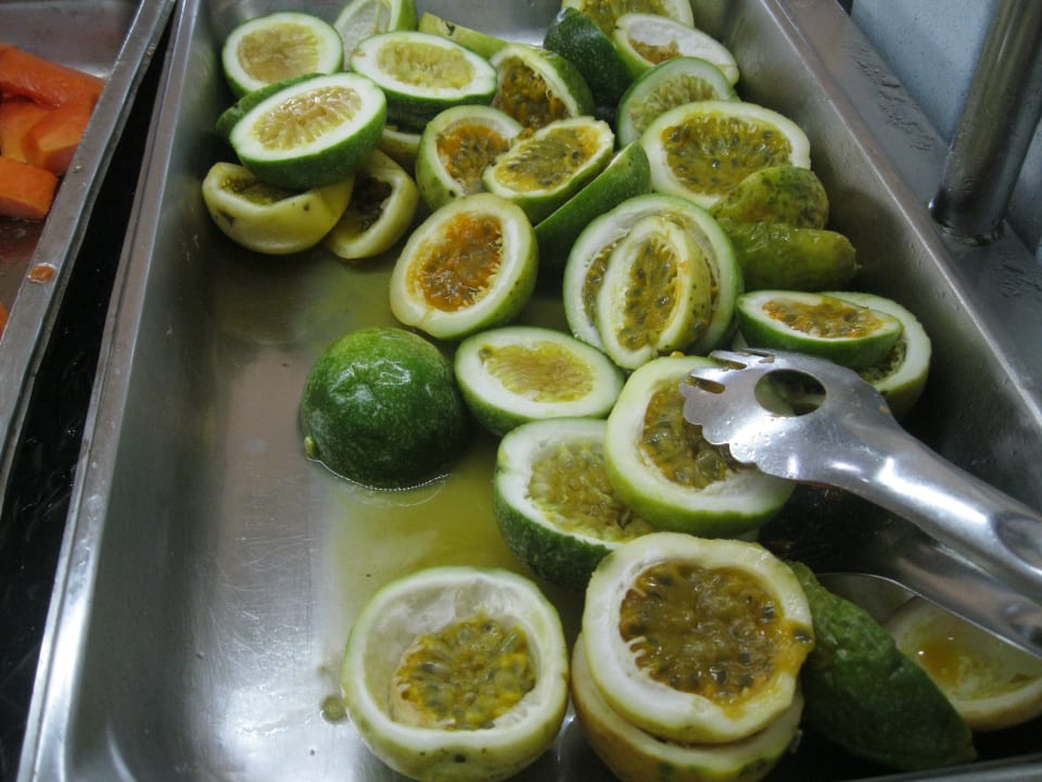 Gastro Hotel Viva Dominicus Beach by Wyndham - All Inclusive Resort