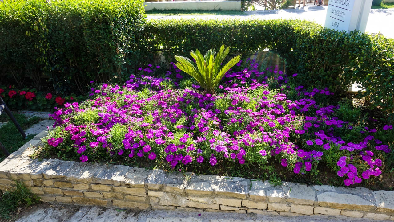 Gartenanlage Trendy Side Beach Hotel - Adults only