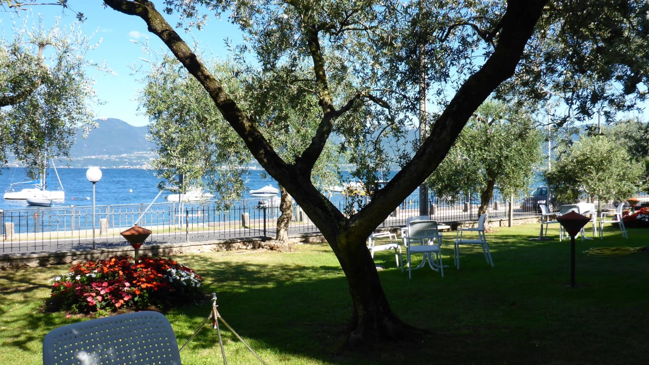 Wiese vorm Hotel Hotel Garden Torri Del Benaco