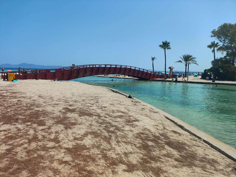 Sonstiges allsun App.-Hotel Orquidea Playa
