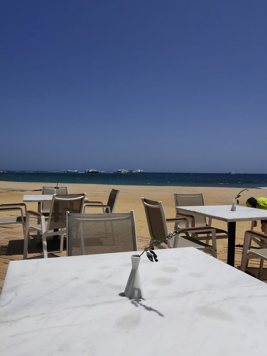 Gastro JAZ Elite Amara