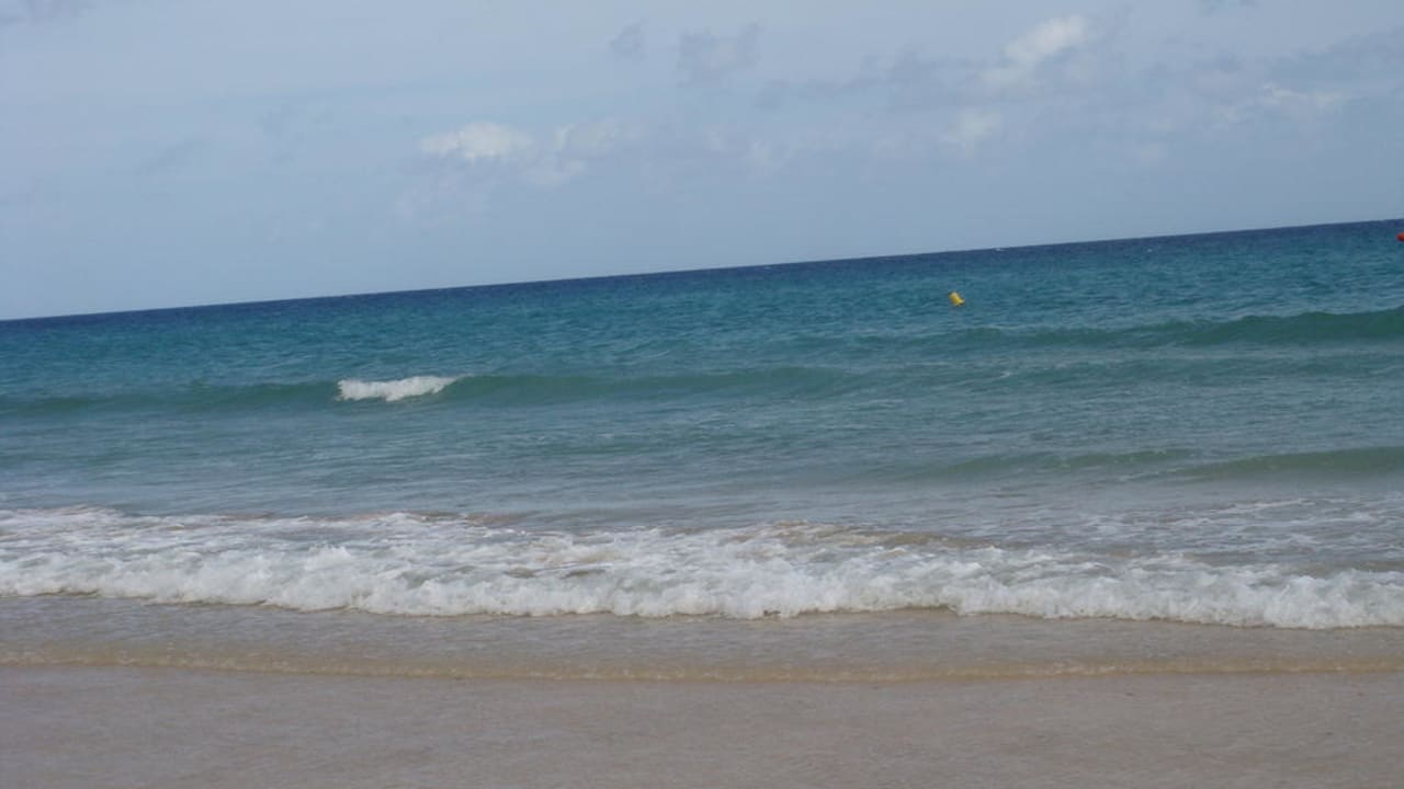 Unvergesslicher Ozean Iberostar Waves Gaviotas Park