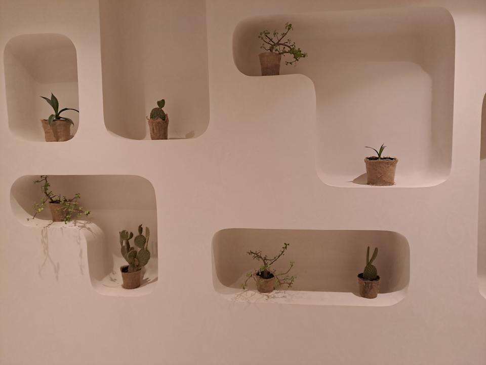 Sonstiges SUNRISE Anjum Resort Marsa Alam