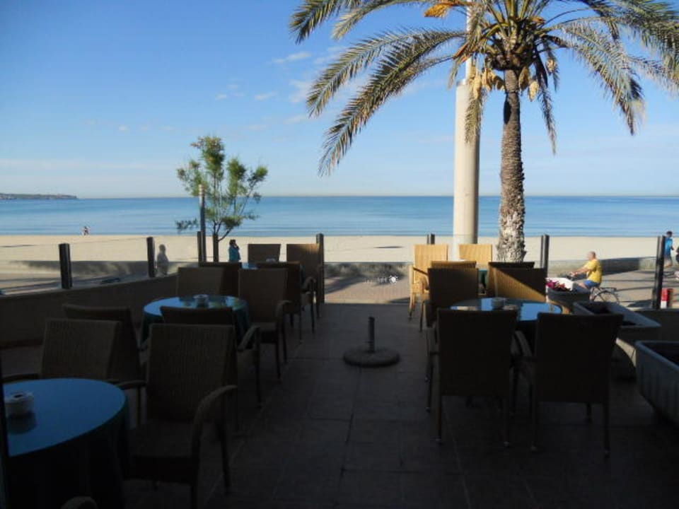 Blick auf's Meer Hotel Edén Palma Playa - Adults Only