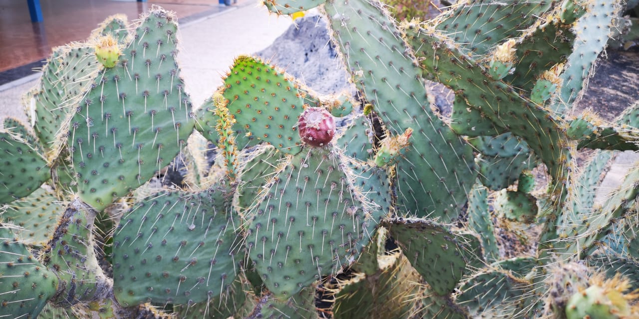 Strand Hipotels La Geria