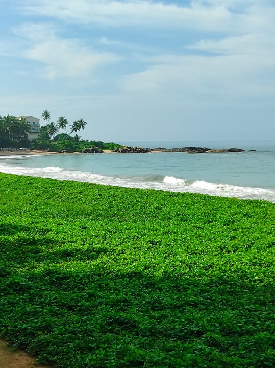 Strand Pandanus Beach Resort & Spa