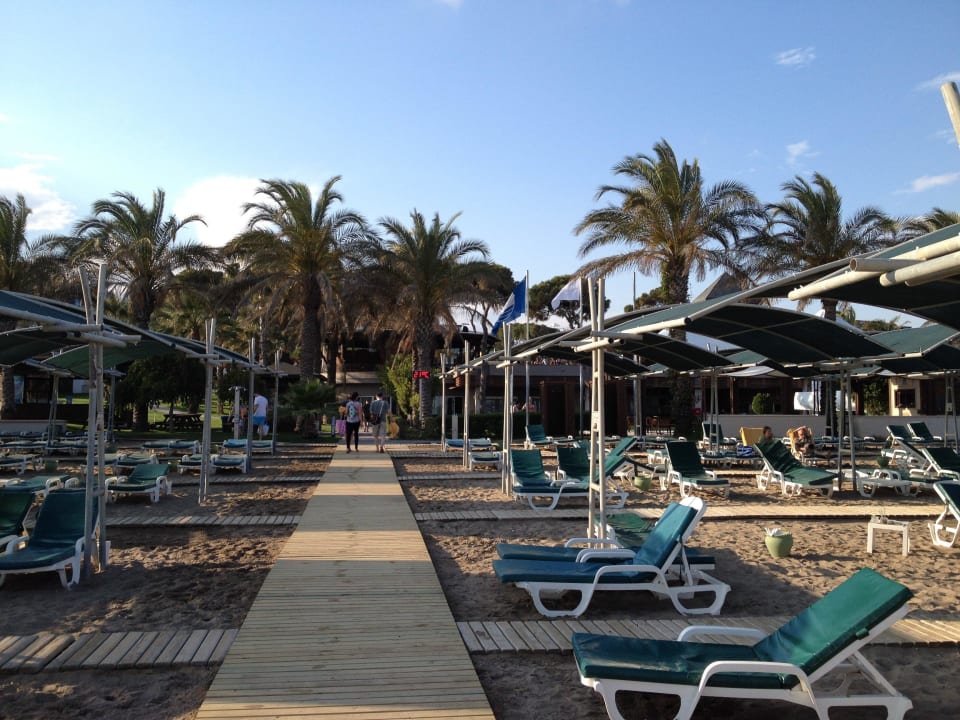 Strand Papillon Ayscha