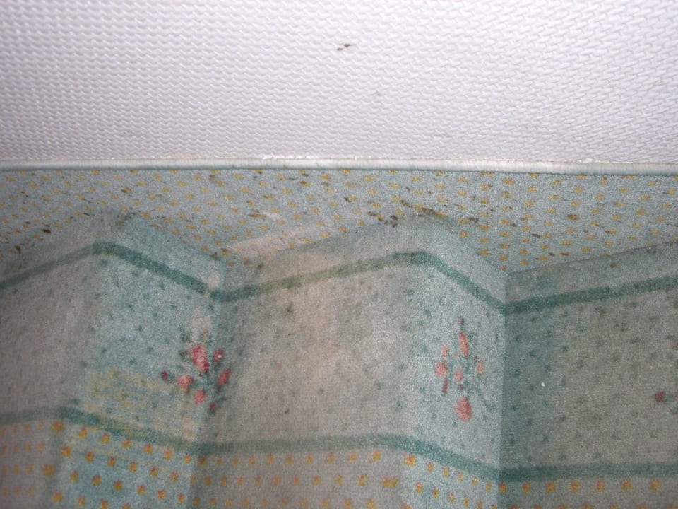 Treppenaufgang komplett verschmutzt Landhotel Harz