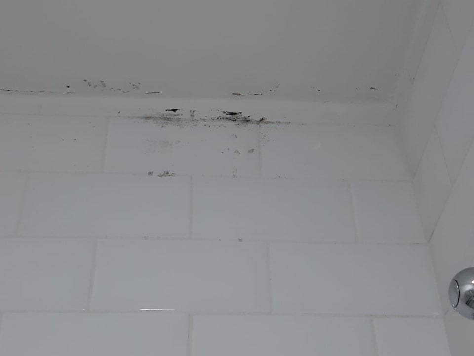 Zimmer Hotel Euro Lodge Clapham