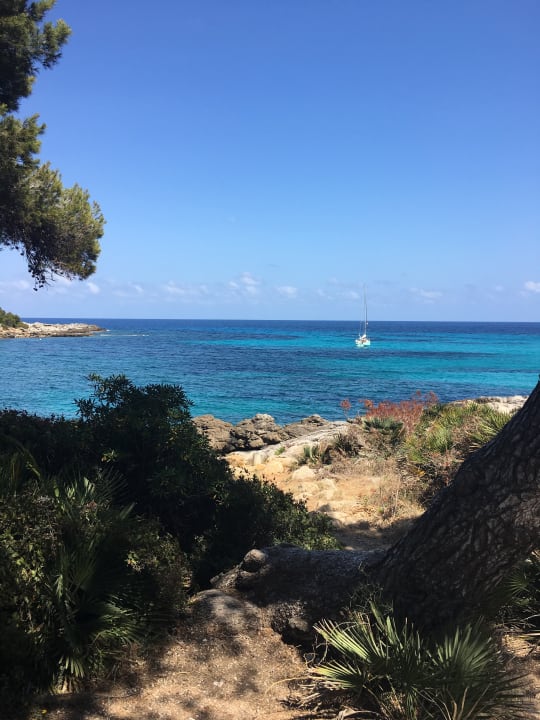 Strand Iberostar Waves Pinos Park