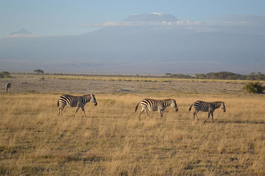 Tolles Panorama direkt vor der Lodge Ol Tukai Lodge