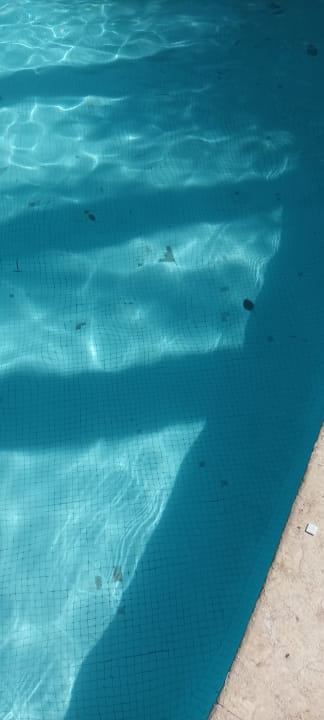 Pool Makadi Palace