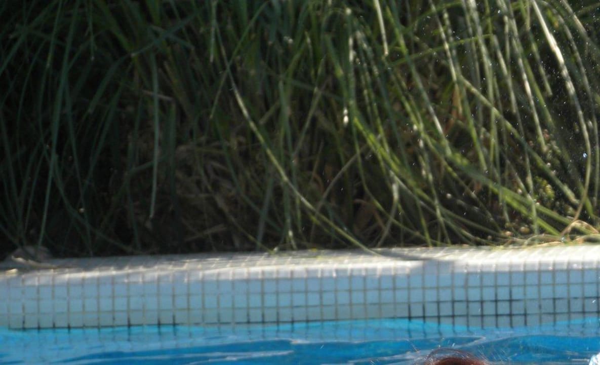 Schimmel im Pool Garden Saladina