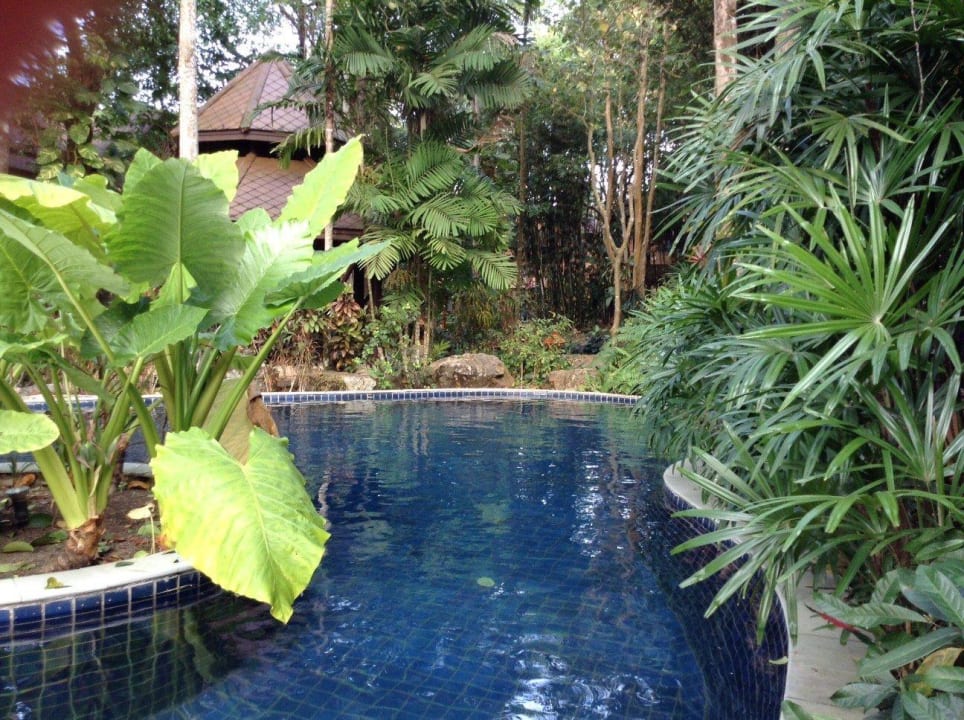 Pool Access Zimmer Khao Lak Merlin Resort