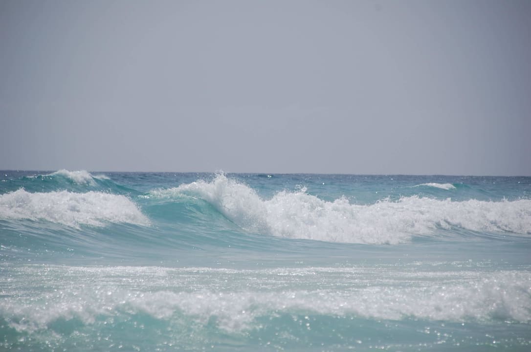 Wellengang Hotel Riu Oliva Beach Resort