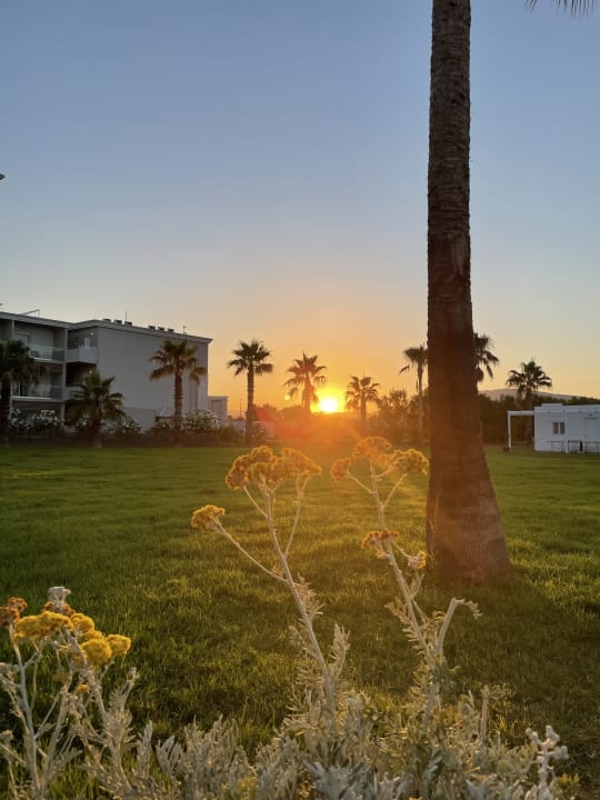 Gartenanlage Delfina Tropic Beach