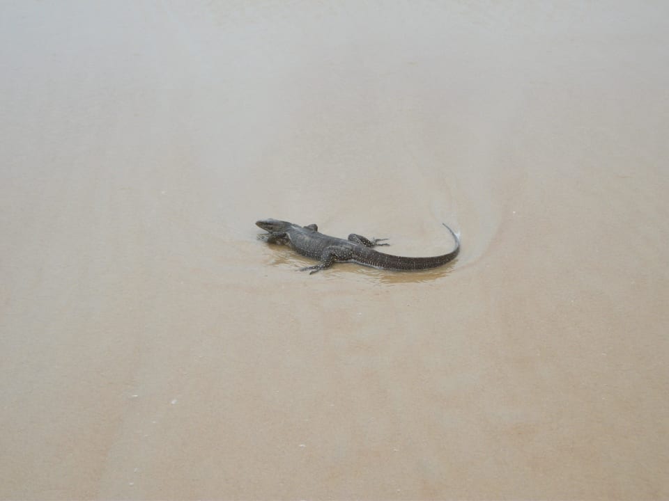 Kann man am Strand finden Khaolak Oriental Resort - Adults only