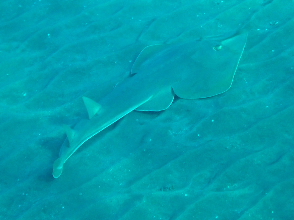 Sport & Freizeit Shams Alam Beach Resort