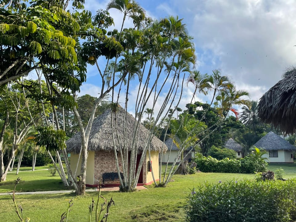 Gartenanlage Hotel Los Caneyes