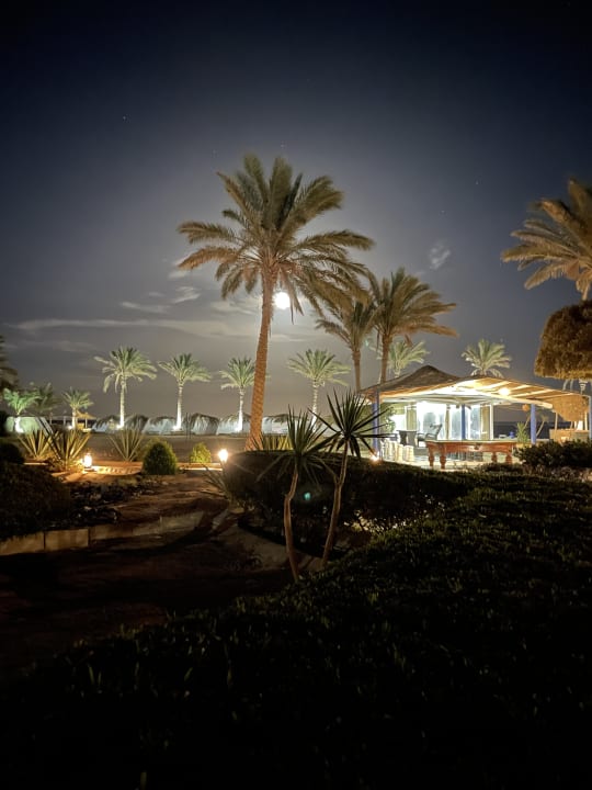 Gartenanlage Hotel Coral Garden