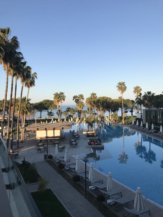 Pool Acanthus Cennet Barut Collection