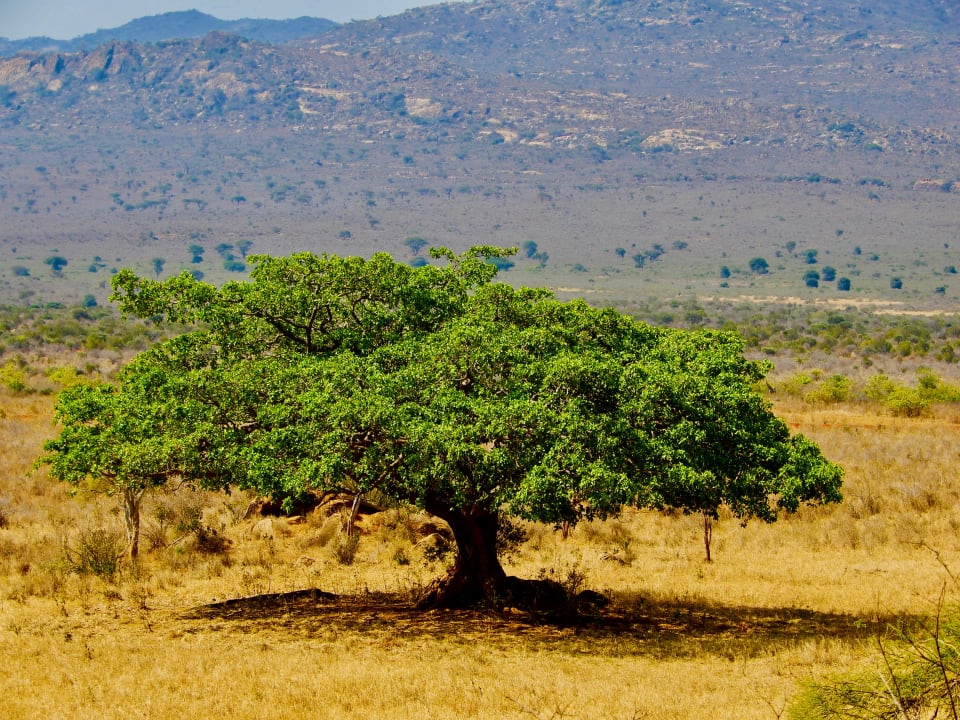 Ausblick Rhino Valley Lodge