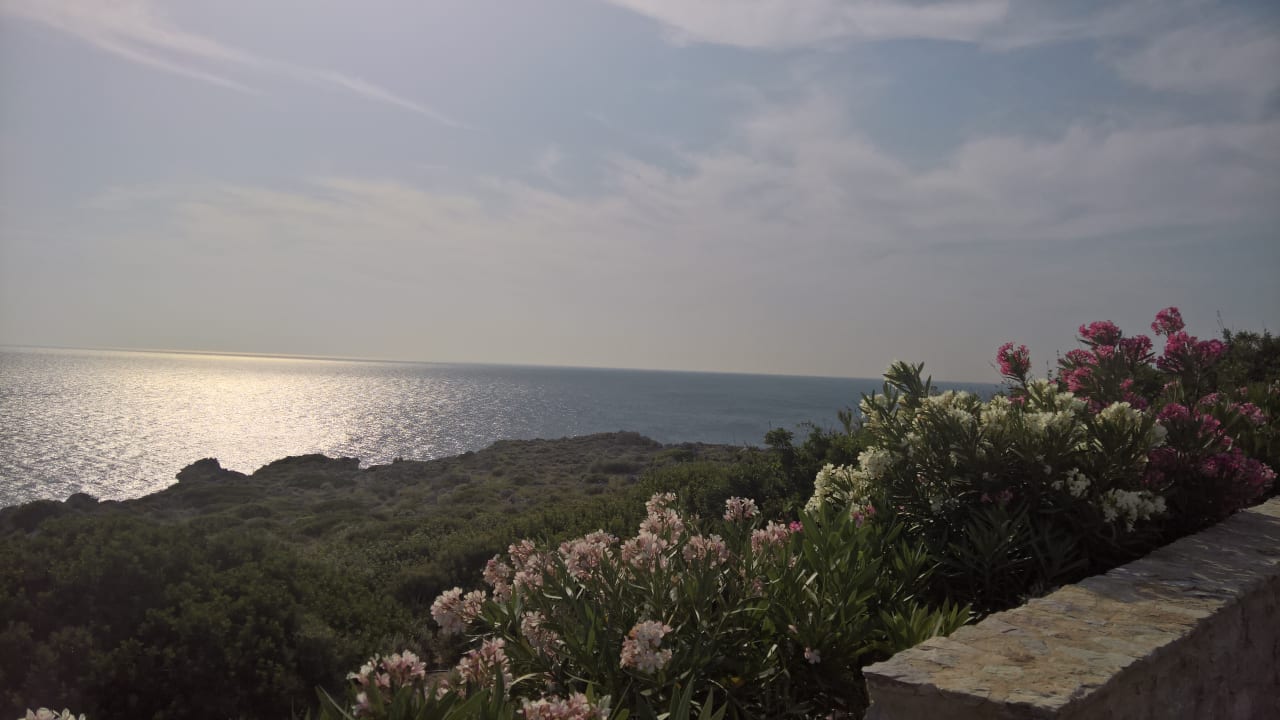 Ausblick Hotel Kalithea Horizon Royal