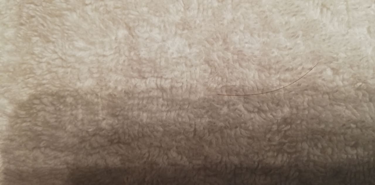 Zimmer Ferienwohnungen Ferienpark Weissenhäuser Strand