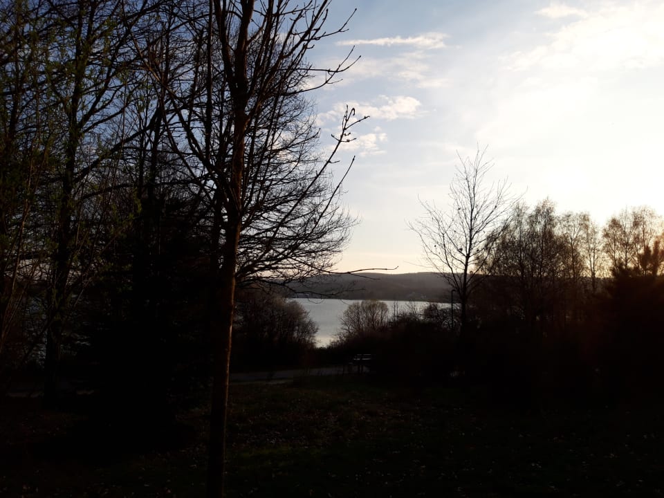 Ausblick Center Parcs Park Bostalsee