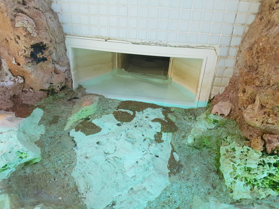 Pool Ghazala Gardens