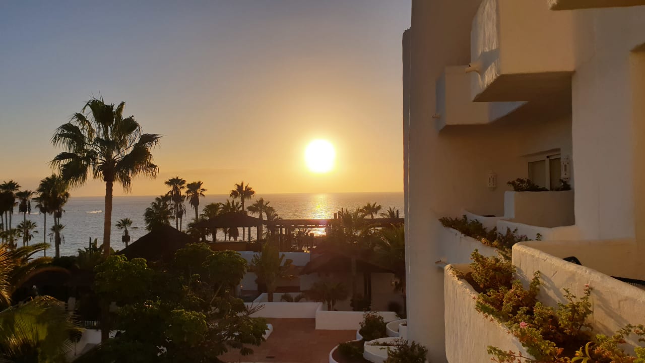 Zimmer Dreams Jardín Tropical