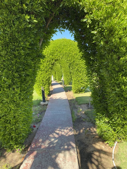 Gartenanlage Cleopatra Luxury Resort Makadi Bay