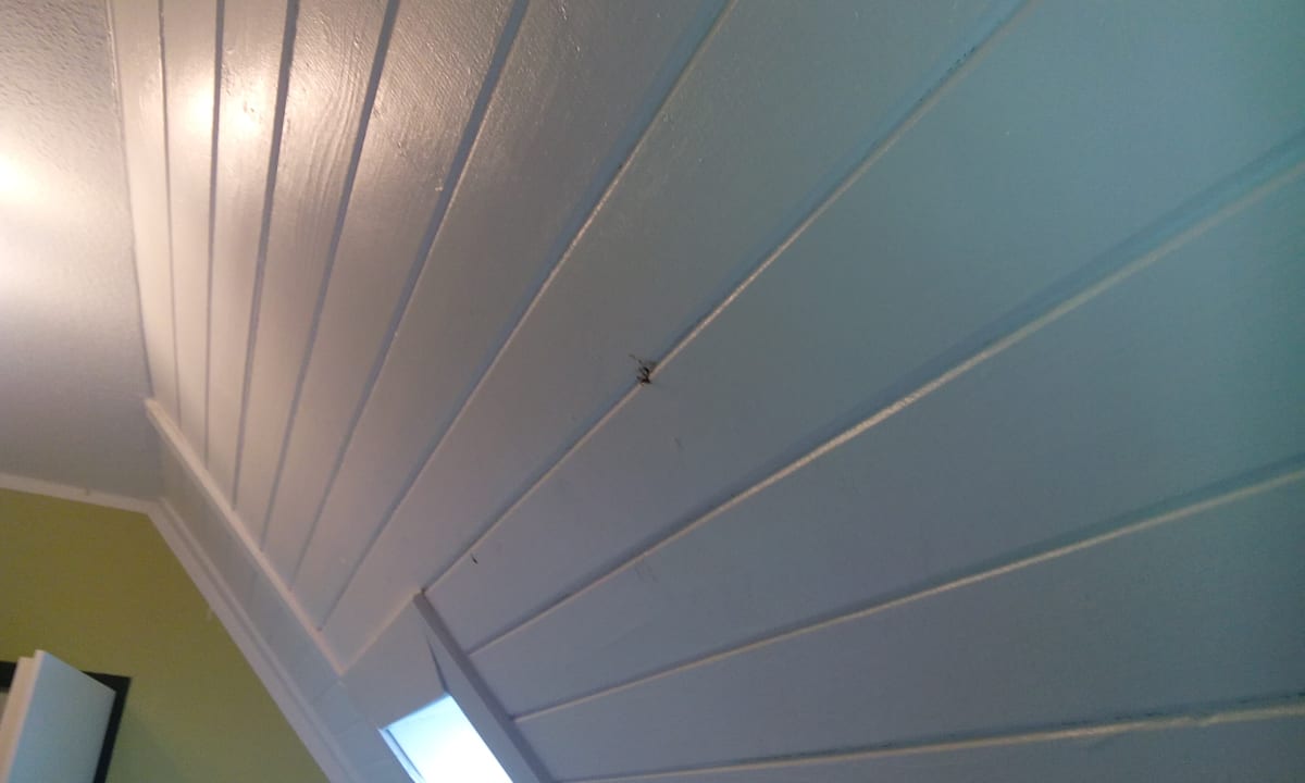 Zimmer Pension Pirnaer Elbschlösschen