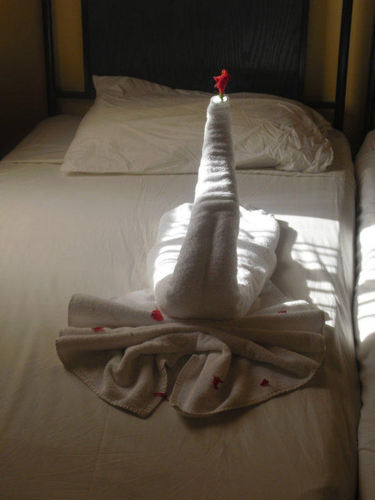 Unser Bett wurde jeden Tag geschmückt  Jaz Makadi Oasis Resort