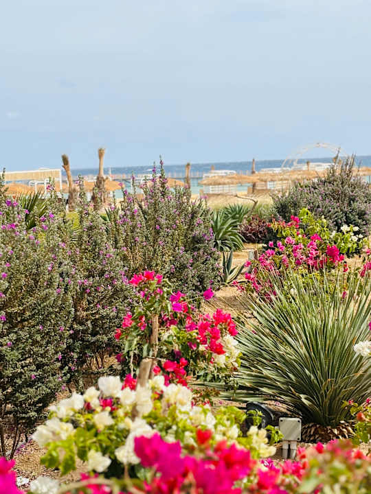 Gartenanlage SUNRISE Anjum Resort Marsa Alam