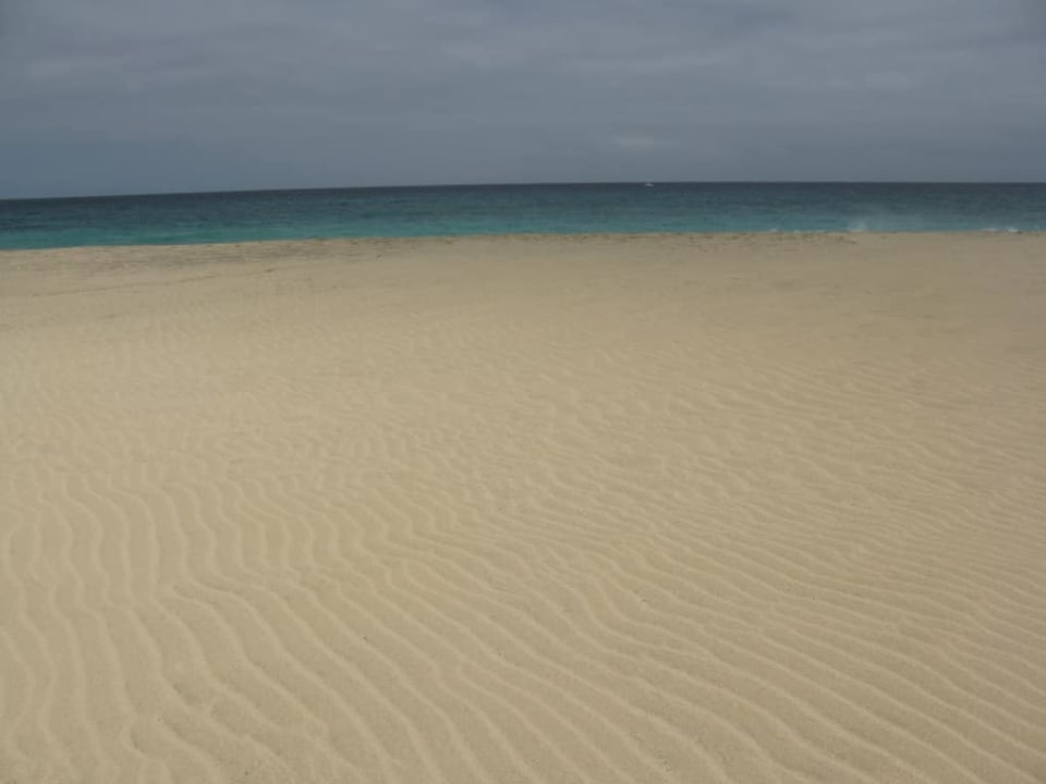 Piasek jak na Saharze Oasis Salinas Sea