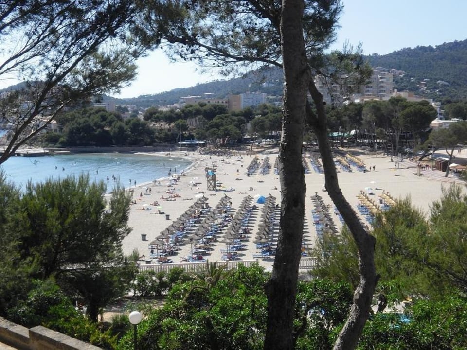 Hotel Lido Park, Peguera Universal Hotel Lido Park & Spa