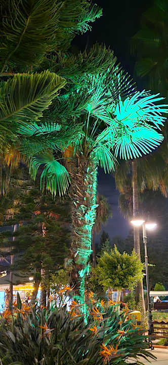 Gartenanlage Saphir Hotel & Villas