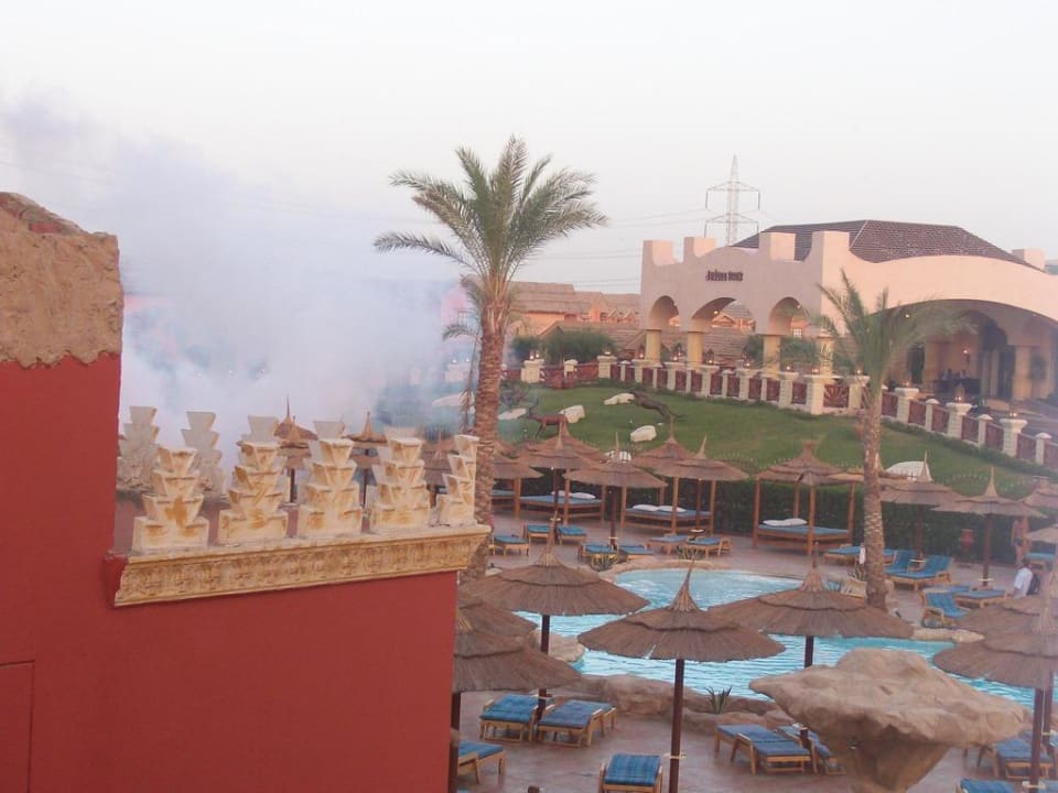Basen i Jungle Pickalbatros Alf Leila Wa Leila Resort - Neverland Hurghada