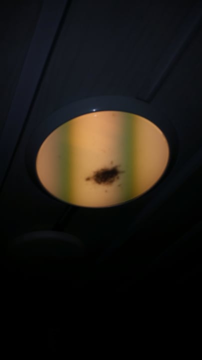 Bad Center Parcs De Eemhof