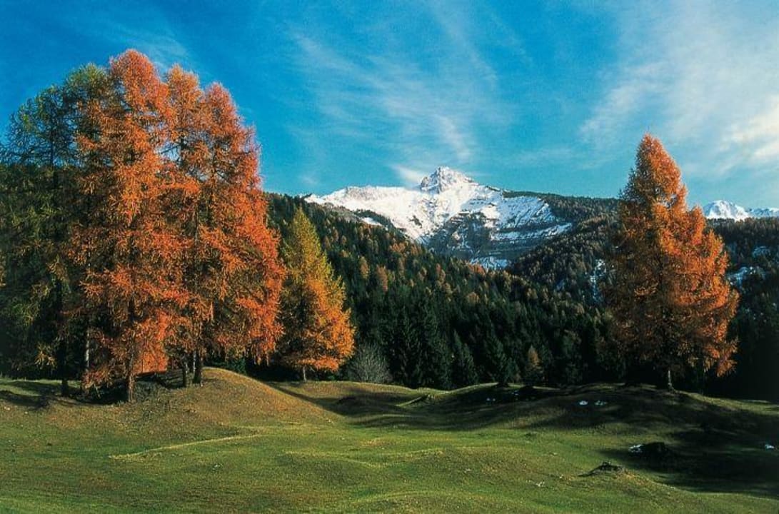 Aussicht/Ausblick Hotel Zirmerhof