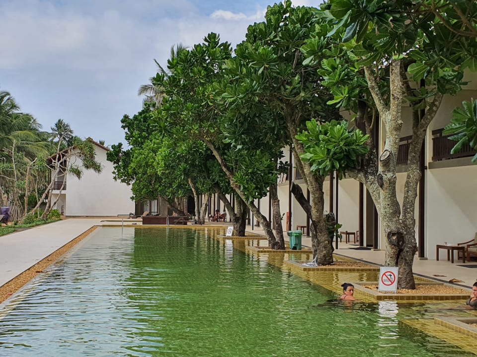 Pool Pandanus Beach Resort & Spa