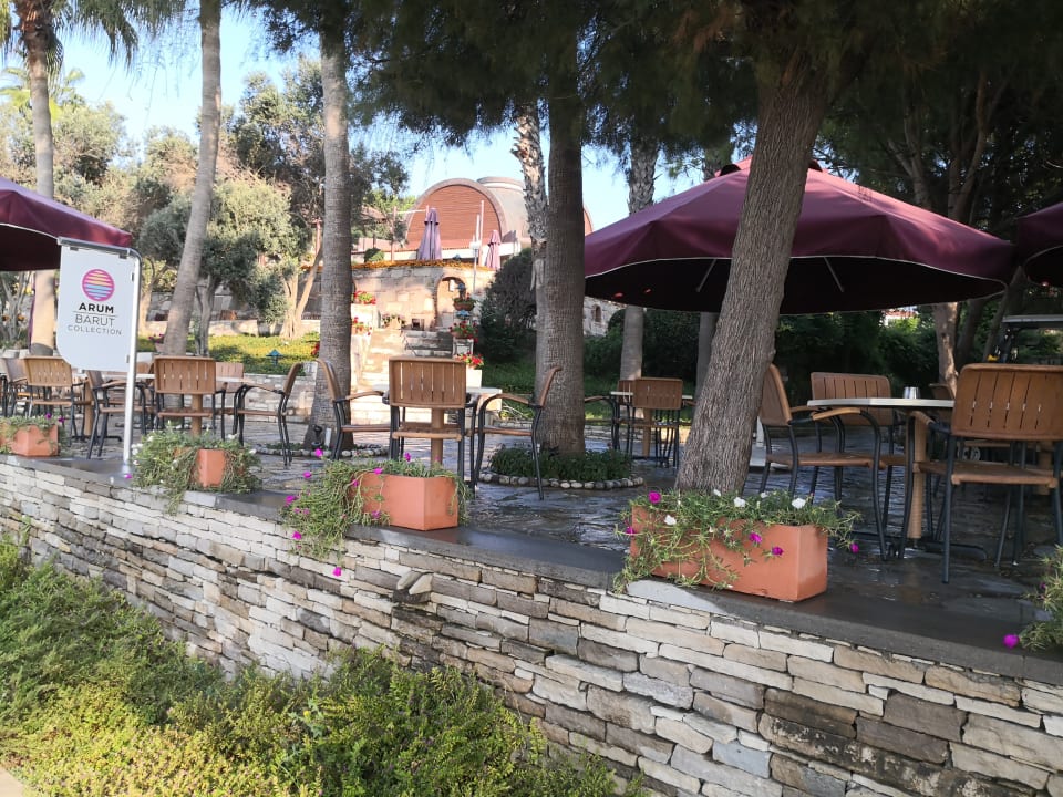 Strand Arum Barut Collection