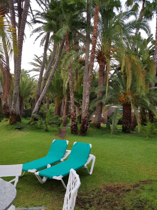 Gartenanlage Hotel Riu Palace Oasis