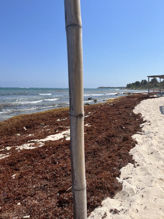 Strand Akumal Bay Beach & Wellness Resort