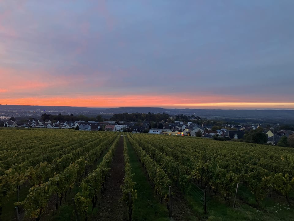 Ausblick Relais & Châteaux Hotel Burg Schwarzenstein