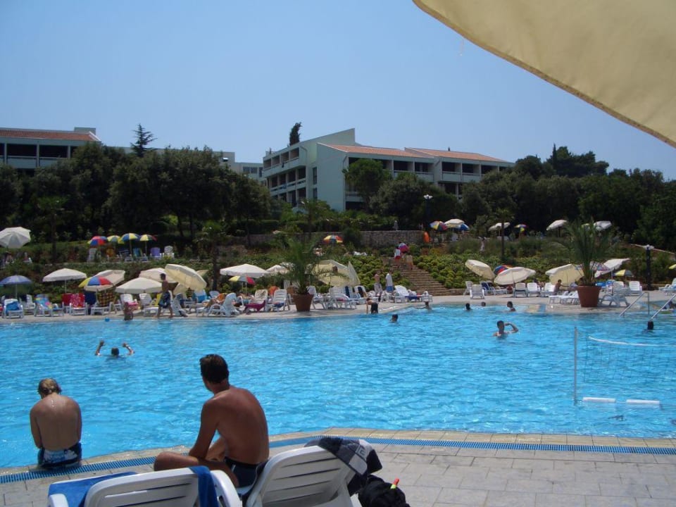 Blick vom Pool auf die Hotelanlage Sunny Dubrovnik by Valamar
