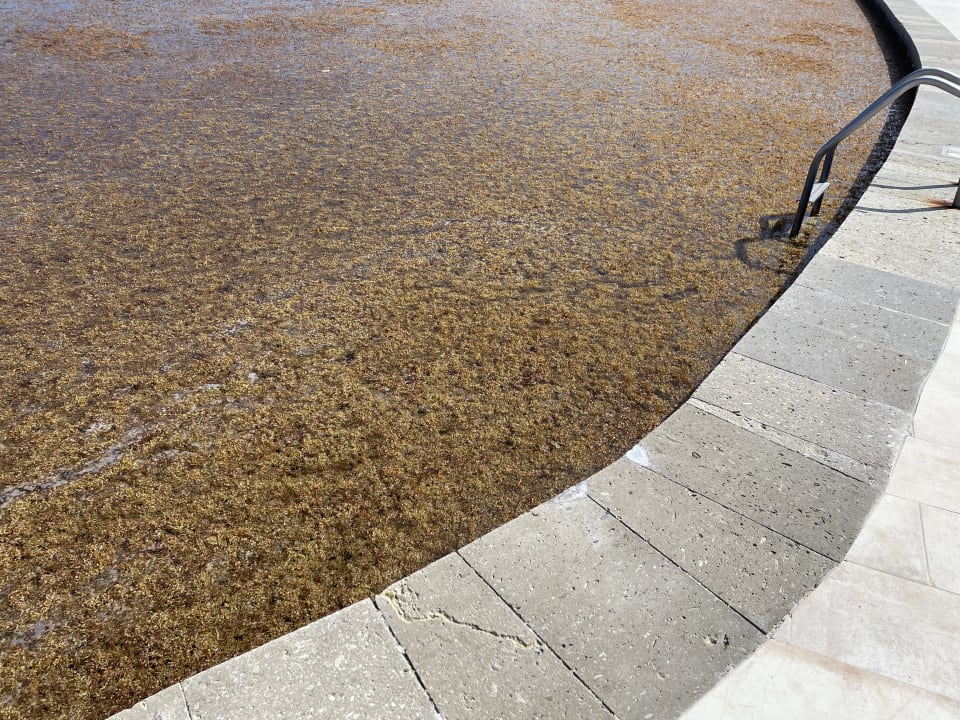 Pool Grand Palladium Select White Sand Resort & Spa