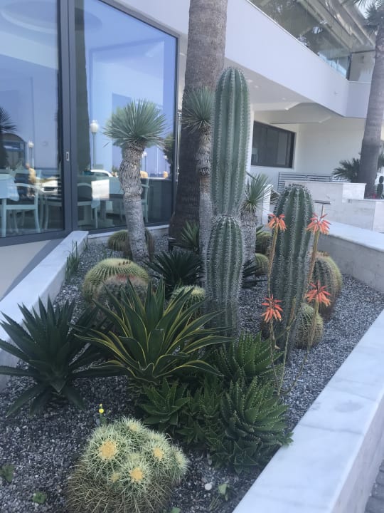 Garten Rhodos Horizon Resort