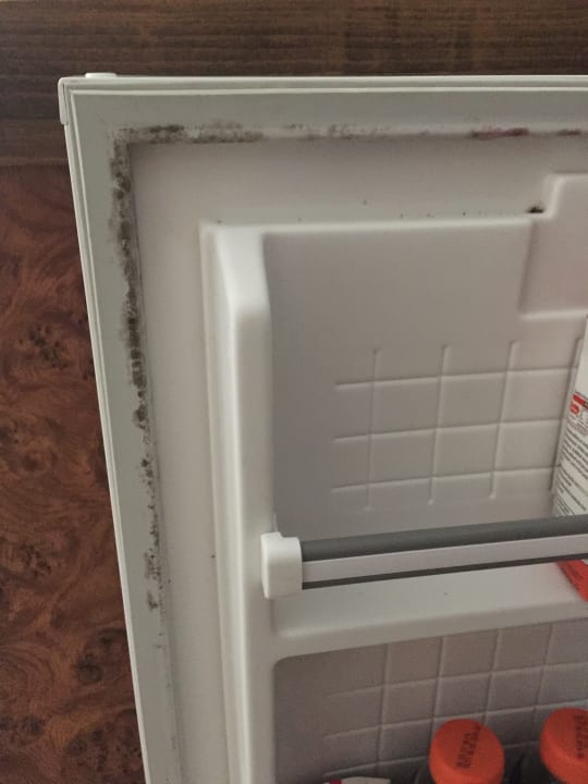 Zimmer Kamelya Aishen Club